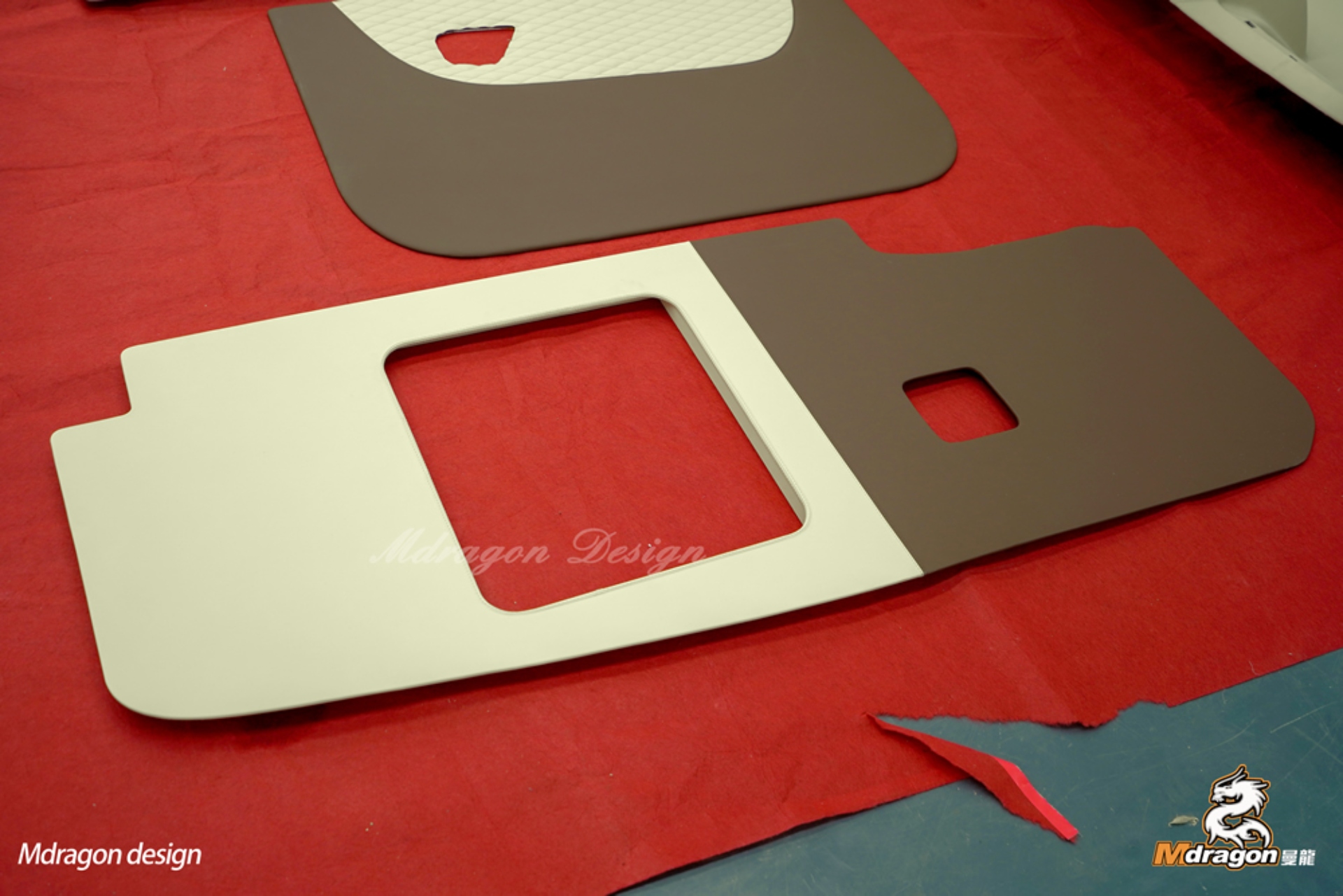 Sprinter Customized Tail Door Panels-1088