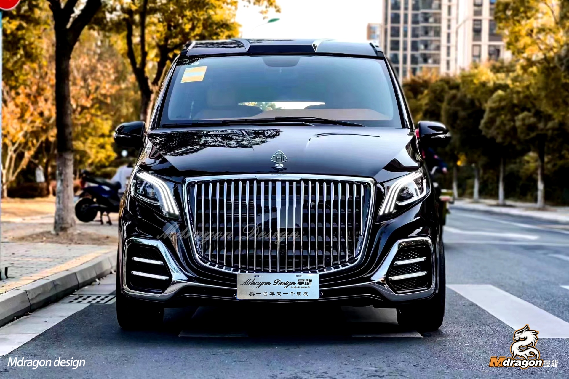 Mdragon Vito Luxury K Body Kit