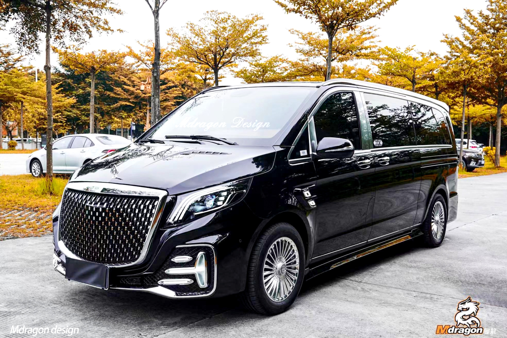 Mdragon V class/ Vito Luxury Stars 3 Body Kits